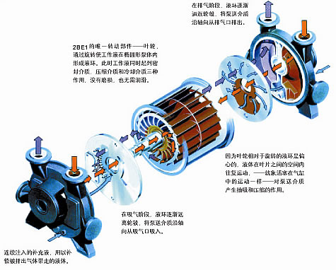 SKϵ��ˮ�h(hu��n)ʽ��ձýY(ji��)��(g��u)�D